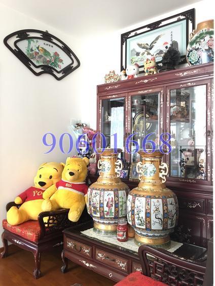 Serangoon Garden View (D19), Terrace #156916852